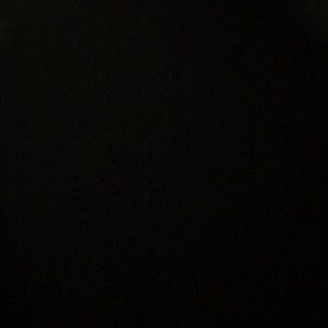 Meet your Posher, Donovan